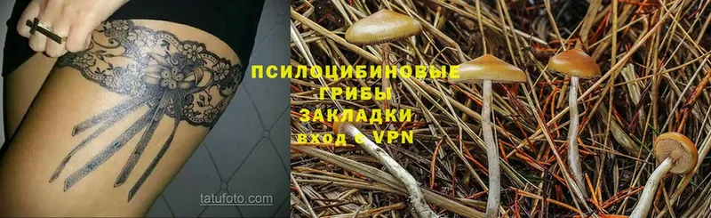 Галлюциногенные грибы Magic Shrooms  Власиха 